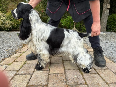 WhatsApp Image 2025 05 04 At 17.57.39 480x360